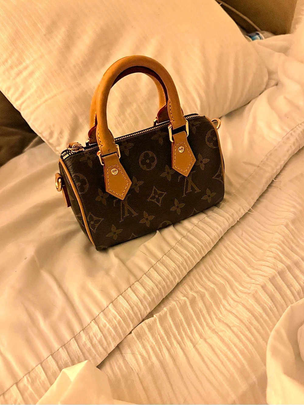 Louis Vuitton Nano Speedy Monogram Satchel Brown & Tan